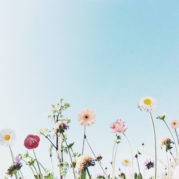 πΏπ» Meet your Posher π»πΏ - Picture 7 of 7